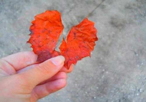 离婚孩子判给谁的几率大